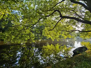 Christy 05 Slotermeer